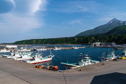 オタトマリ沼周辺の豊かな自然をお楽しみください