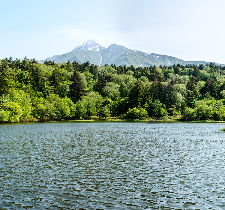 オタトマリ沼の自然と 利尻島のグルメが楽しめる店！